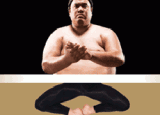 FM_HawleySumo_Thumb1 (1) FM_HawleySumo_Thumb1 (1)