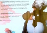 Stein AIS Marketing Manatee Ad full page