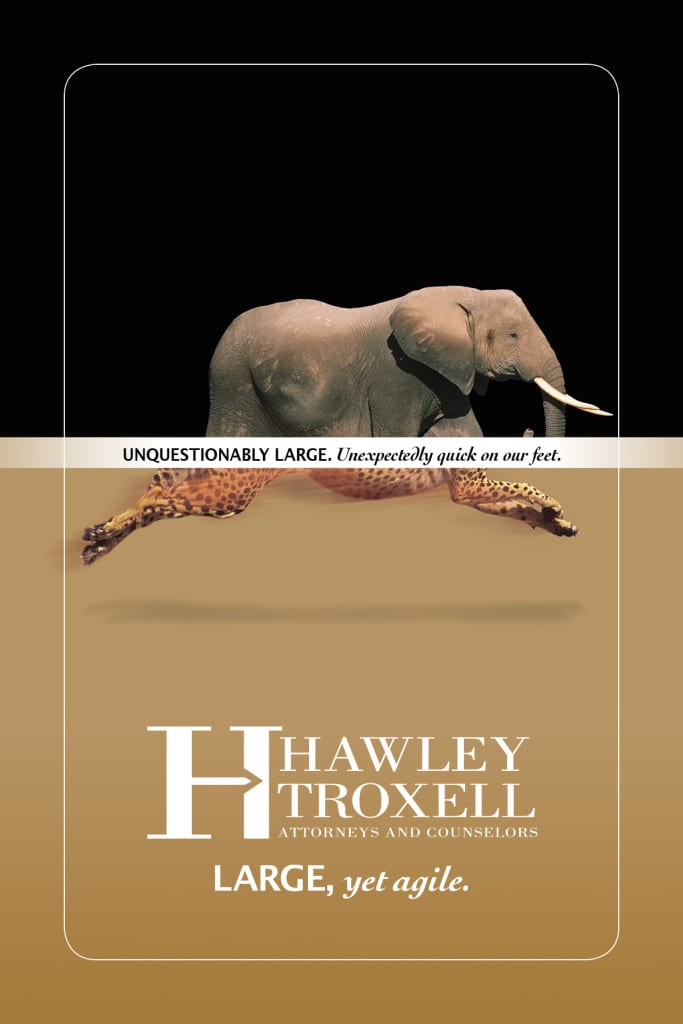 HawleyTroxell_CakeArt Elephant