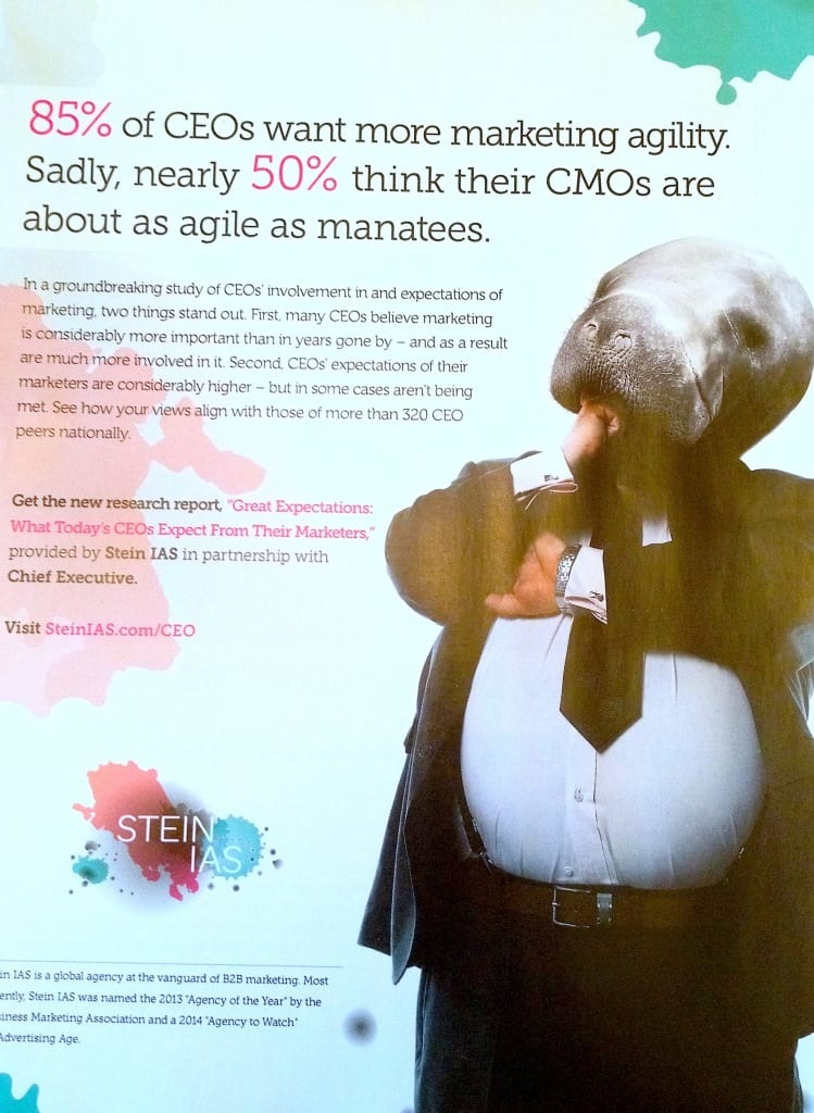 Stein AIS Marketing Manatee Ad full page